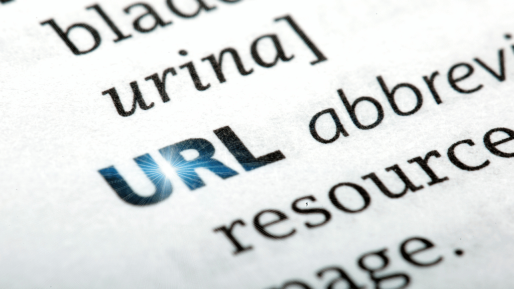 Challenges in Adding Robust URL Reading to Claude