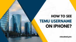 How to See Temu Username on iPhone?