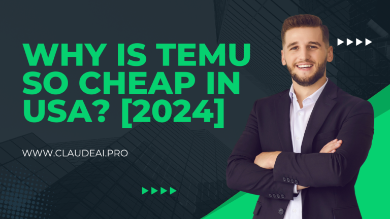 Why is Temu so Cheap in USA? [2024]